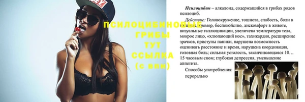 apvp Нея