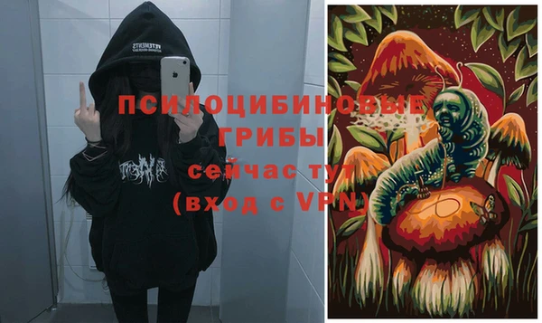 apvp Нея