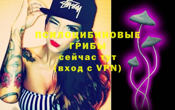 spice Надым