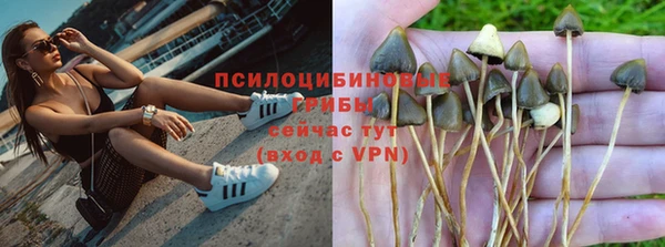 гидра Нефтекумск