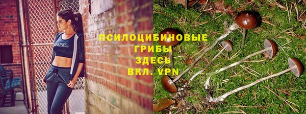 гидра Нефтекумск