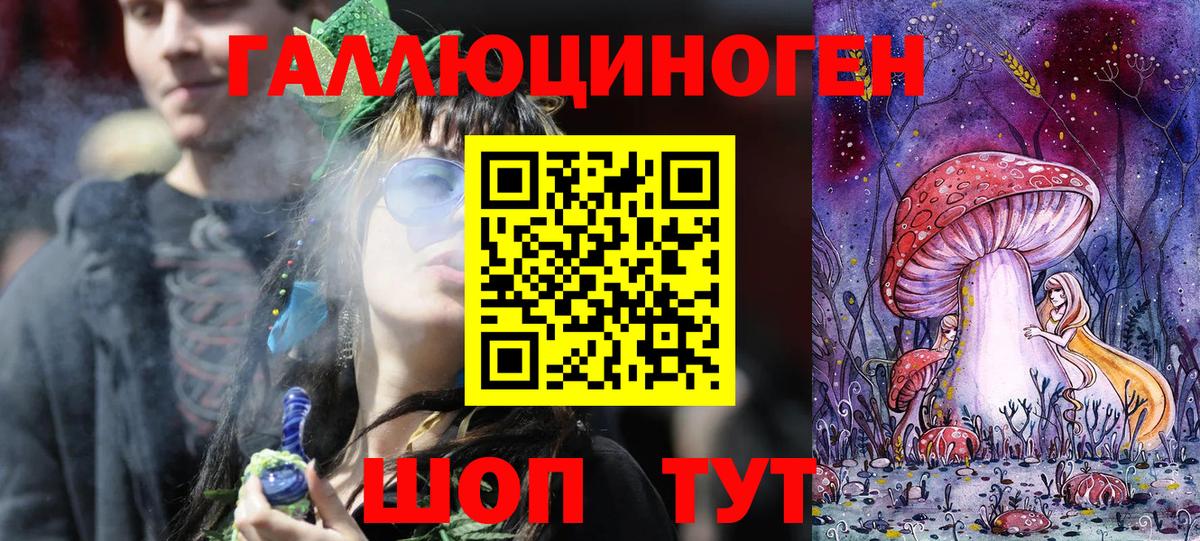 Псилоцибиновые грибы Psilocybine cubensis Рассказово