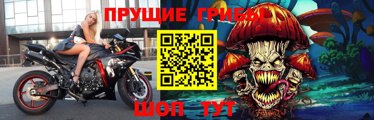 Галлюциногенные грибы Psilocybine cubensis  Вход с VPN  Рассказово  купить наркотик  Галлюциногенные грибы мицелий 