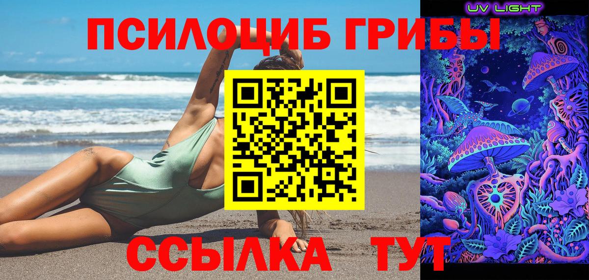 Псилоцибиновые грибы GOLDEN TEACHER  Рассказово 